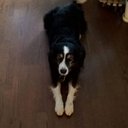 Elin Andersen - @ElinAndersen59 - Twitter