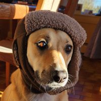 paigepigeon (@pai_n2) 's Twitter Profile Photo paigepigeon (@pai_n2) 's Twitter Profile Photo