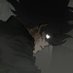 Wolff (@estenoeswolf) Twitter profile photo Wolff (@estenoeswolf) Twitter profile photo