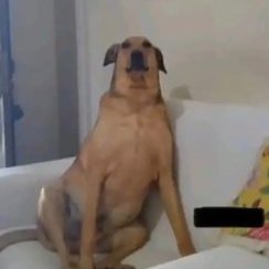 Jpena1273's profile picture. yo