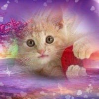๐บ๐พ Mika ๐บ๐พ (@mika_michael1) 's Twitter Profile