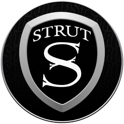 STRUT esports is the esports divison of STRUT LLC
https://t.co/FZVj4luiX9