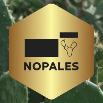 Our Vision: Help To Heal The World.  Nopales can save Our Planet & Lives 🌵💚 BNB Smart Chain Contract Address: 0x501261CC3571962E21BD5E445cE2e9B58e334EA1