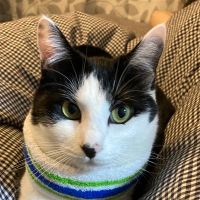 13_figaro13's profile picture. 趣味ビリヤード🍺