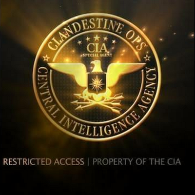 National Security / Homeland Security / Banking & investment / Cyber Fraud Division