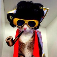 ☭ 🇵🇸 (@katt_zia) 's Twitter Profile