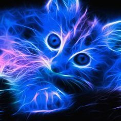 MezmerizedKitty's profile picture. serious introvert, teacher, buddhist, feminist, democrat. Hillary was right about everything.