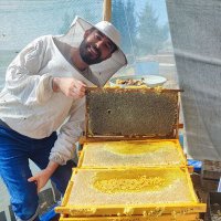 🐝 ZEP ZENGİN BALCI ⲎⲀSO 🍯 (@marko__pasha) 's Twitter Profile