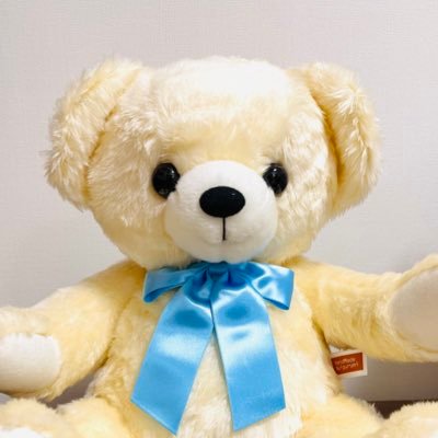 ぽこぽんぷ🍥さんのプロフィール画像