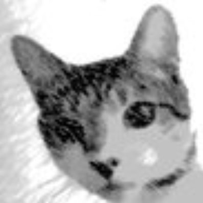 CatGrah17554541 Profile Picture