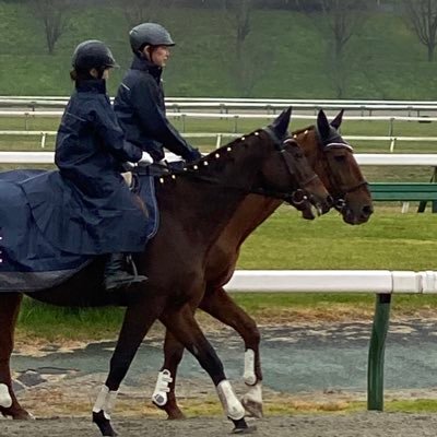 tn05082's profile picture. 競馬(馬)が大好き🎵 始めたきっかけはメジロマックイーンの天皇賞(秋)🐴