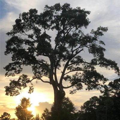 ✝️ 🇺🇸 ⚓️BWBarrnone Profile