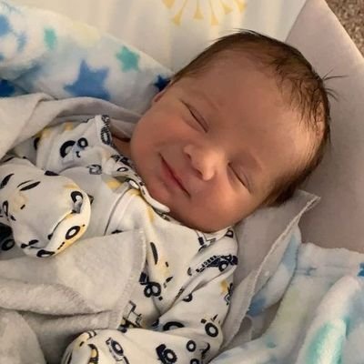 totolavelle's profile picture. 