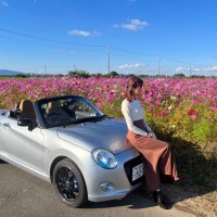 ひな (@copehina) Twitter profile photo