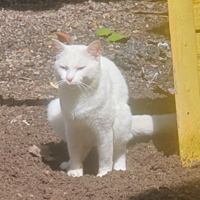 anakayam_17's profile picture. 