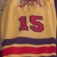 Mississauga Hawks (@hawksballhockey) 's Twitter Profile