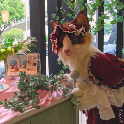 私は台湾人です！メスケモ、猫ケモ大好きです!! よろしくお願いします✨ 🇹🇼/28/Fursuiter/cat lover/SFW post only