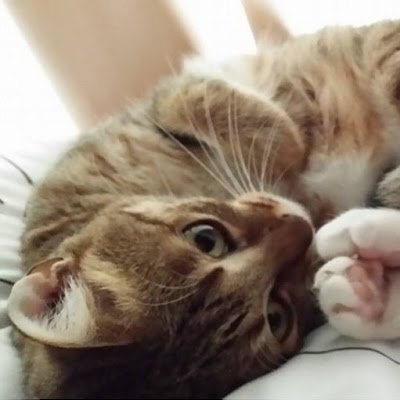 charyang220's profile picture. 