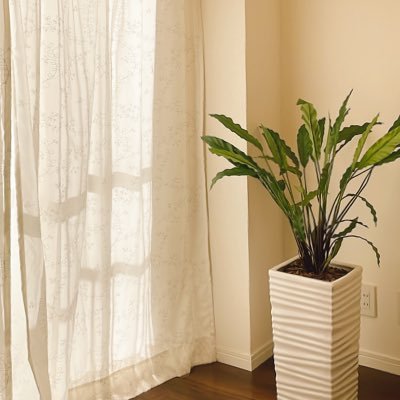 1825ad's profile picture. サ。賛否どちらも参考にさせていただいてます🙇‍♀️