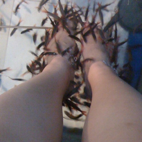 lisatha's profile picture. 