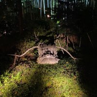 よつお (@yhitd8) 's Twitter Profile