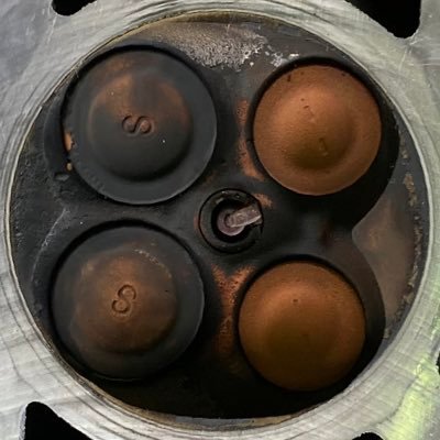 310_shiro's profile picture. フォローはご自由に。特に挨拶等も不要です。まったりやってます。無言フォロー失礼します。