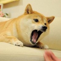 ｼﾍﾞ (@shibemiti) Twitter profile photo