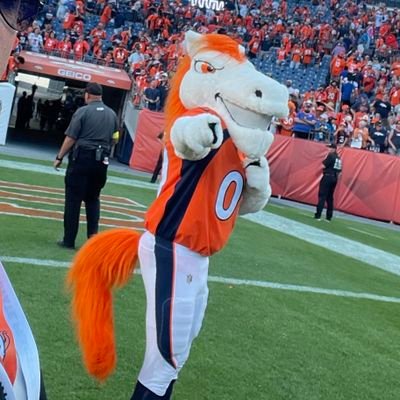 Official Mascot of the Denver Broncos Unofficial Mascot of Awesome