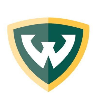 Official twitter handle of Wayne state university ID fellowship, Detroit, Michigan