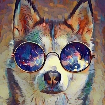 ハスキさんのプロフィール画像