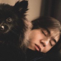 aè (@ayepovu) 's Twitter Profile