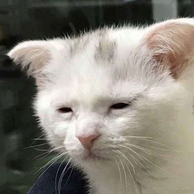 tiredbastardman's profile picture. 