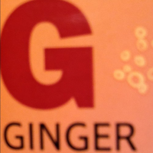 xgingerwingerxx's profile picture. 