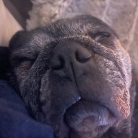 Steve Nelson (@toteintow) 's Twitter Profile Photo Steve Nelson (@toteintow) 's Twitter Profile Photo