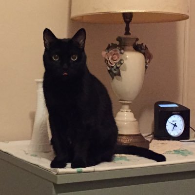 chalkr1987's profile picture. reading books forever