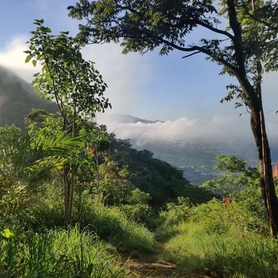 abhi_arambam's profile picture. 