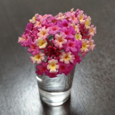 mugimaru03's profile picture. 主婦です。
あれこれつぶやいて、発散してます。