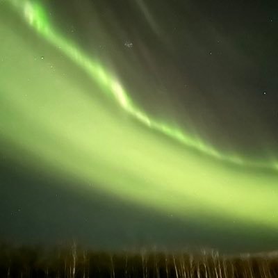 muskoman's profile picture. Cal