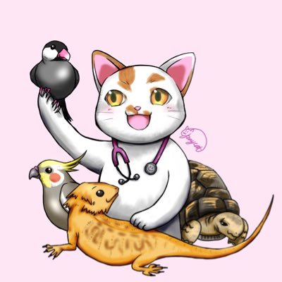 エキゾチック系の獣医師。Webライター。個人的な病気の質問は申し訳ありませんがお答えできません。同業の方はフォローさせていただいてます。アイコンはNeco先生に描いていただきました((´艸`*))
