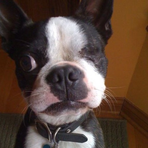 DrunkJug's profile picture. 