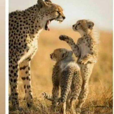 Eagle42096923's profile picture. 