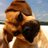 amnjmc's profile image