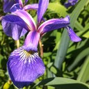 Amanda Melville - @amelvillem - Twitter