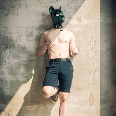 是隻愛抱抱的古牧 #乳膠狗狗 #puppy #療癒系