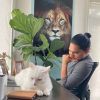 Jay (@jayb_tweeting) 's Twitter Profile