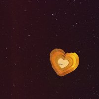 Joel Ansett (@joelansett) 's Twitter Profile