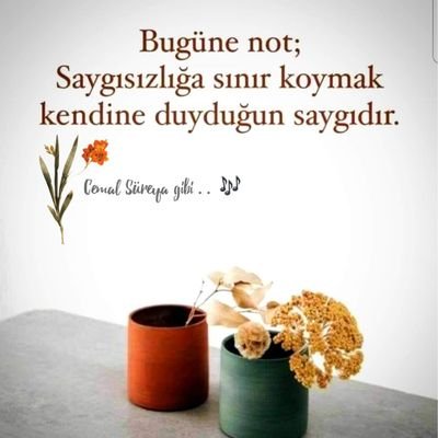 MahmutT96227253's profile picture. 