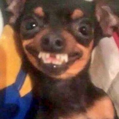 sir_danie's profile picture. Teacher, peer educator