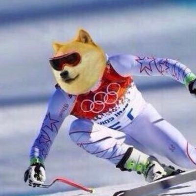 It’s a #DogeLife on the slopes! It’s all about the $DOGE community #DogeFam #Hodler #DoOnlyGoodEveryday