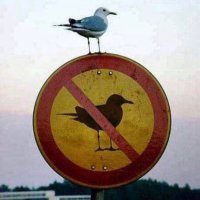 John Niyo (@johnniyo) 's Twitter Profile Photo John Niyo (@johnniyo) 's Twitter Profile Photo